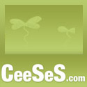 CeeSeS We are the BalkaniCSS!
