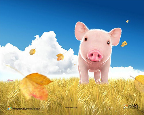 pig wallpaper. GIR Pig Wallpaper by