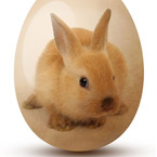Uskrs – resursi za ikone, ilustracije, wallpapers, čestitke… Eastern bunny is coming :)